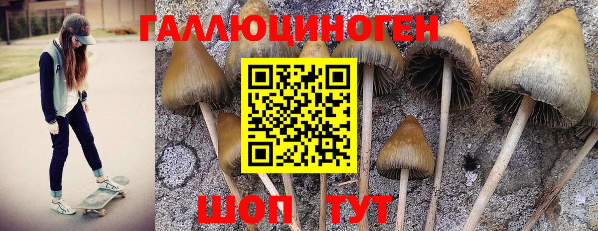 купить   Вход с VPN  Славянск-на-Кубани  Галлюциногенные грибы Magic Shrooms 