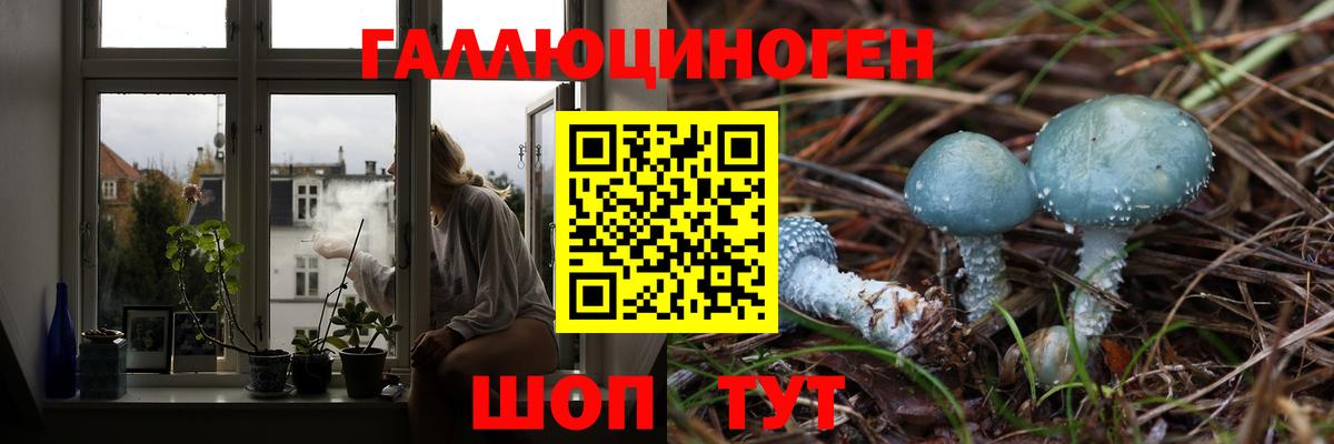 Псилоцибиновые грибы мицелий Славянск-на-Кубани